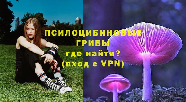 MDMA Premium VHQ Волосово