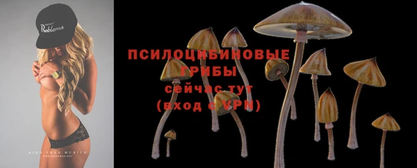 MDMA Premium VHQ Волосово